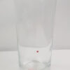 TAKARA Clear Drinking Glass
