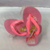 Light-Pink size 29 Famous Brand Printed Rubber Slippers Kid's Flip Flop